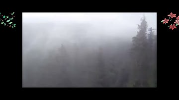 جزء من سوره الذاريات بصوت القارئ باربيد الحضرمي (المقام الحضرمي خشوع)