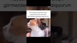 Maksat Neşemiz Bozulmasın Resimi