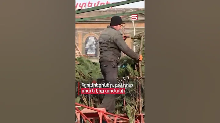 Գյումրեցինե՛ր ջան, բա դուք սրա՞ն էիք արժանի. աղմկոտ խառնակչություն Գյումրիի տոնածառի շուրջ  #5tv