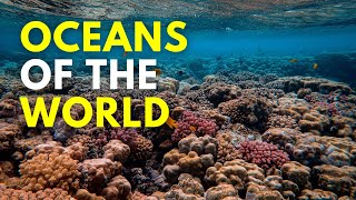 Oceans of the World for Kids | Learn all about the 5 Oceans of the Earth