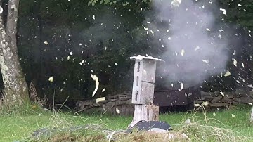 Silly string VS 12 gauge