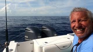 Best Lure for Key Largo Dolphin Mahi Mahi Best Rod & Reel For Islamorada Tuna & Dolphin Early April