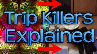 How to END a Psychedelic Trip (Trip Killer Guide)