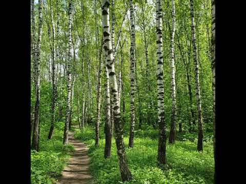 Что такое фриспины от 1win и их срок действия