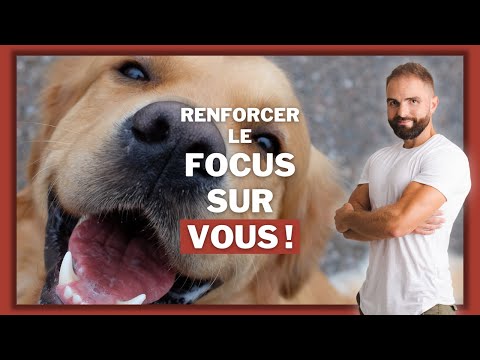 Vidéo: Comment savoir si mon chien fait suffisamment d'exercice?