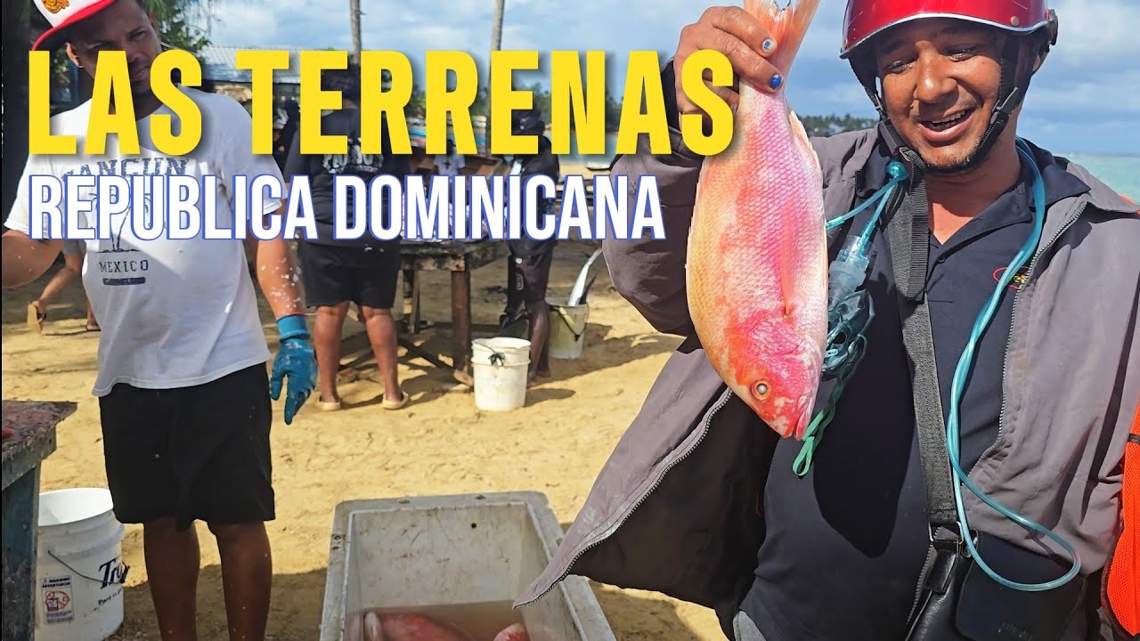 ¿LO MEJOR ESTA EN LAS TERRENAS?  REPUBLICA DOMINICANA.