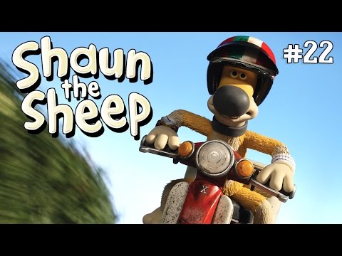 What S Up Dog Shaun The Sheep Season 2 Full Episode