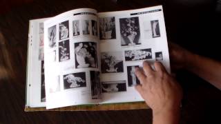 Royal Haeger "Through the Years" Book Review