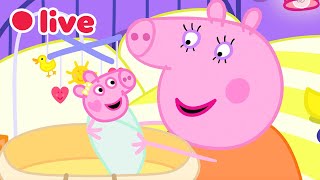 🔴  NEWEST Peppa Pig Episodes 2026 ✨ SEASON 10 Holiday Adventures ☀️ Kids Movie 🔴