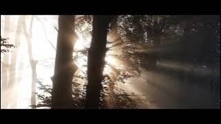 God Bless You Sapek Instrument remake VERSI TERBARU | relaxsasi music