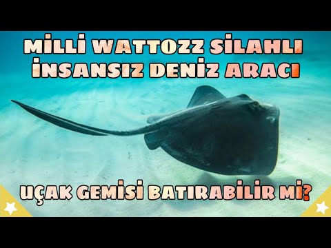 Video: Deniz tüfekçisi hangi silahları kullanır?