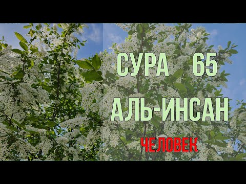 КРАСИВОЕ ЧТЕНИЕ КОРАНА