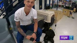 Inmates at Maine State Prison work with future service dogs in training with America's VetDogs