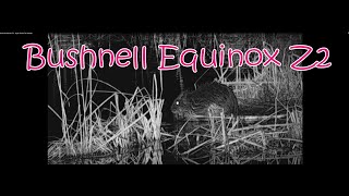 Bushnell Equinox Z2 - Night Test In The Swamp screenshot 3