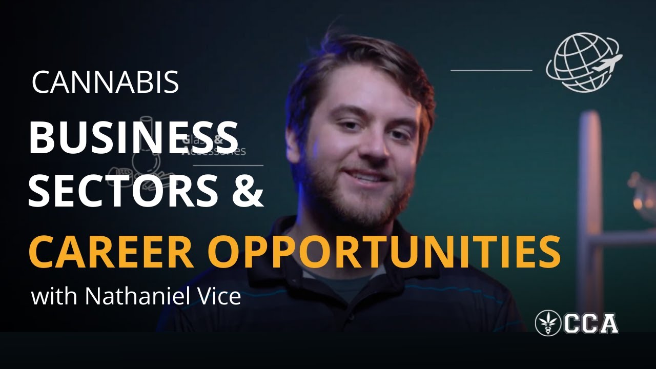 Cannabis Business Sectors and Career Opportunities