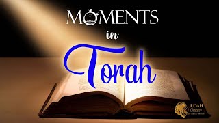 Detailed TORAH PORTION BEREISHEET (In the Beginning) - Genesis 1:1 - 6:8 Profile