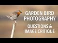 Garden Bird Photography | Questions and Image Critique