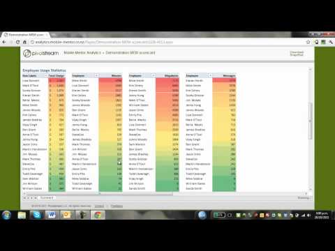 Mobile Expense Management (MEM) Portal demonstration