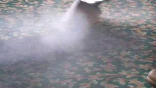 King Steam Carpet Cleaning 9203 Fontainebleau Blvd Miami, Fl 305975-8345