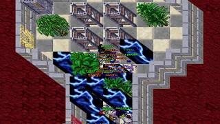 Lawsky - Tibia !