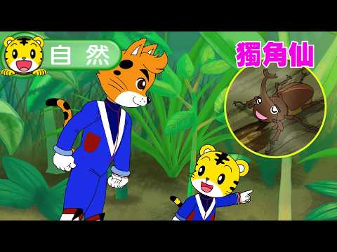 Shimajiro [Knowledge Nibbles] Rhinoceros Beetle #Toddler #Nature #ParentChild #Parenting #Cartoon...