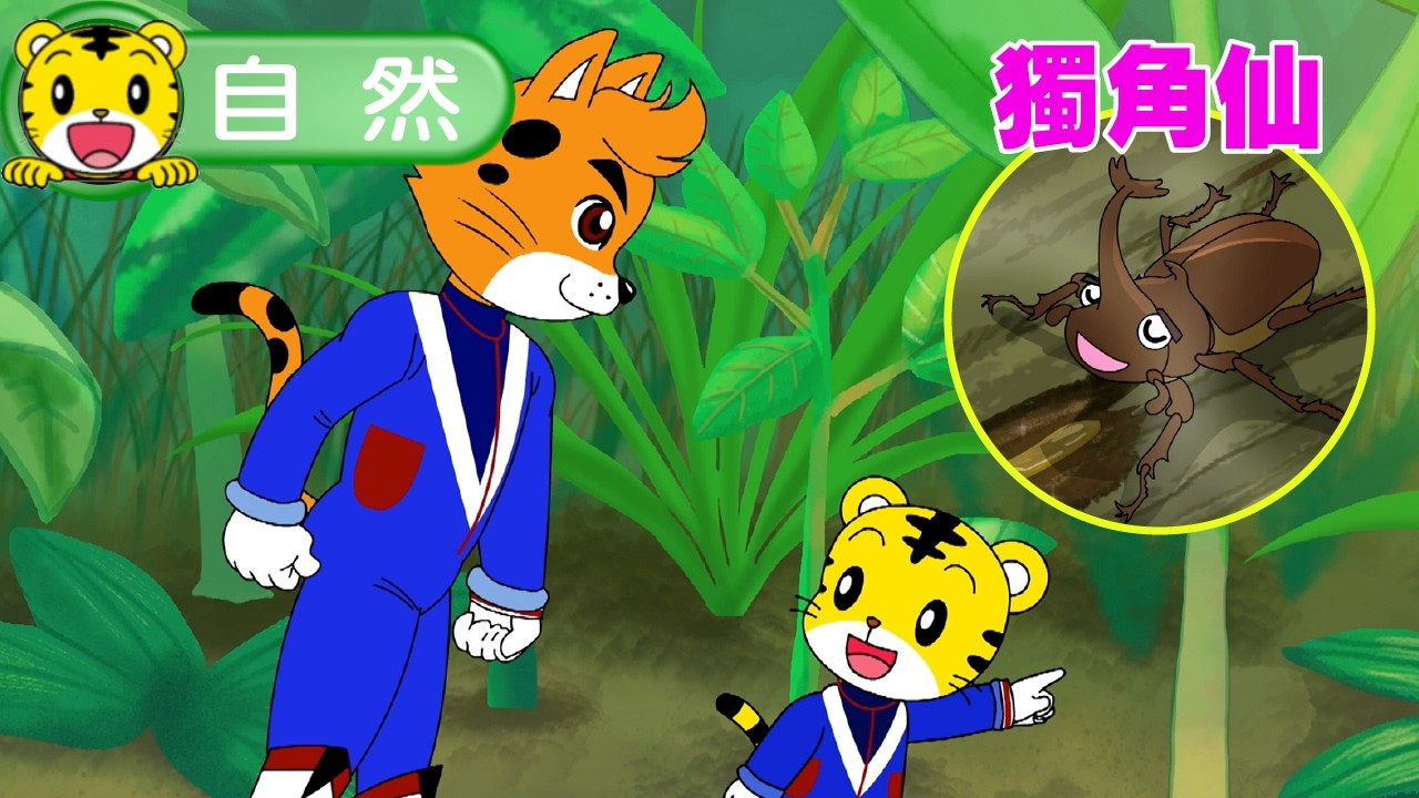 巧虎【知識小補帖】獨角仙 #幼兒 #自然 #親子 #育兒 #卡通 #動畫 縮圖