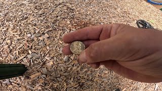 Metal Detecting ToT Lots for Lost Treasure Minelab Manticore today!