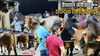 ইমরান ভাই এর কুরবানির ১০০০ কেজির দেশাল গরু কালেকশন | সাদিক এগ্রো ২০২২ ঈদ ধামাকা |