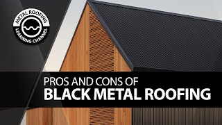 Black Metal Roofing Panels [Pros, Cons + House Pics] Matte Black Standing Seam And Corrugated Roofs