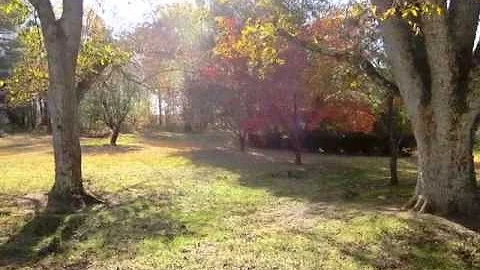 Homes for Sale - 770 NC 150 Reidsville NC 27320 - ...