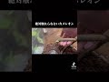 絶対触れられないカメレオン