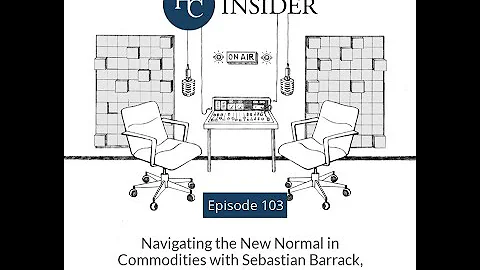 Navigating the New Normal in Commodities