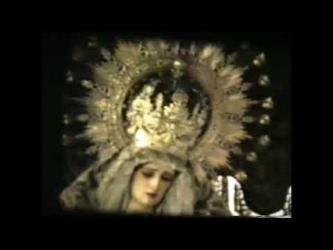 Pontificia, Real e Ilustre Hermandad Sacramental Purísima Concepción Ánimas Benditas del Purgatorio, San Sebastián Mártir y Archicofradía de Nazarenos del Santísimo Cristo de la Exaltación y Nuestra Señora de las Lágrimas