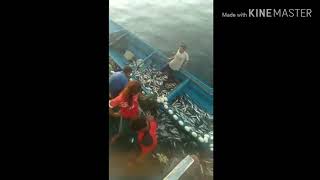 Surganya para nelayan (Pulau Ambalau, Pulau Buru, Maluku)