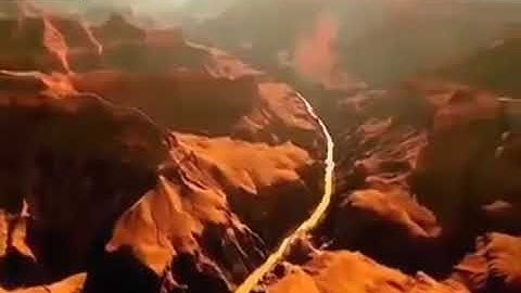 القارئ الشيخ أنس العمادي برواية خلف عن حمزه 🌸