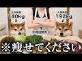 【限界】 デブすぎる愛犬2匹に手作りご飯を作った結果..「不安・焦り・震え」が止まらない柴犬こまちゃん。。
