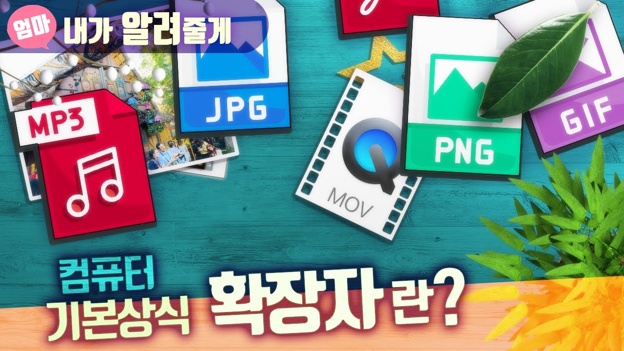 확장자가 뭐지? 컴퓨터 상식 파일 종류(jpg, png, mov 등등)  About file extension