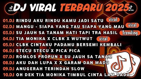DJ TIKTOK TERBARU 2025||DJ RINDU AKU RINDU KAMU JADI SATU🎵DJ SIAPA YANG TAU SIAPA YANG MAU FUL ALBUM