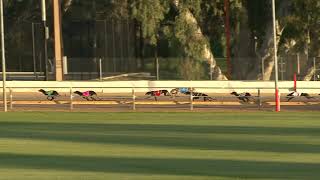 Gawler-05062020-Race-7