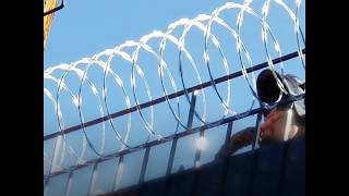 razor wire fast and easy ready to install #Forge, #Architecture #design