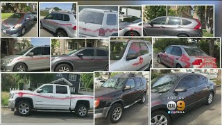 Man Busted For Spray-Painting Cars In Orange County