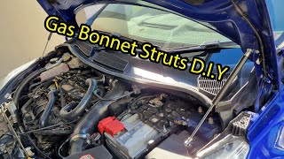 Gas Bonnet Struts D.I.Y