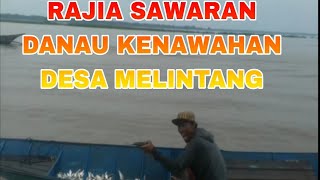 Rajia Pasang Slawaran ( Sawaran ) Dikenawahan Desa Melintang Tahun 2011.