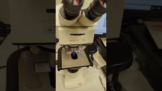 Intro to fluorescence components