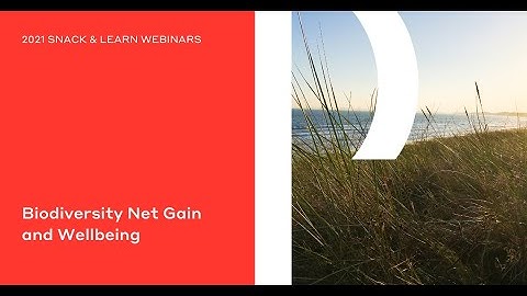 Biodiversity Net Gain and Wellbeing