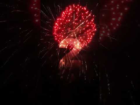 Happy New Year Guys 2024