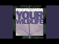 Miniature de la vidéo de la chanson Your Wildlife (Wilderness Mix)