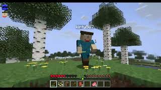 Minecraft Item Speedrun; Apex SMP