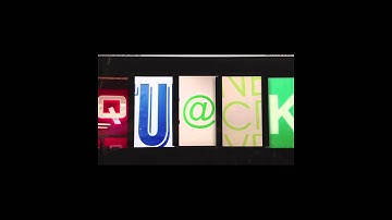 Animation Week 1 - A Ducks Quack Does Not Echo