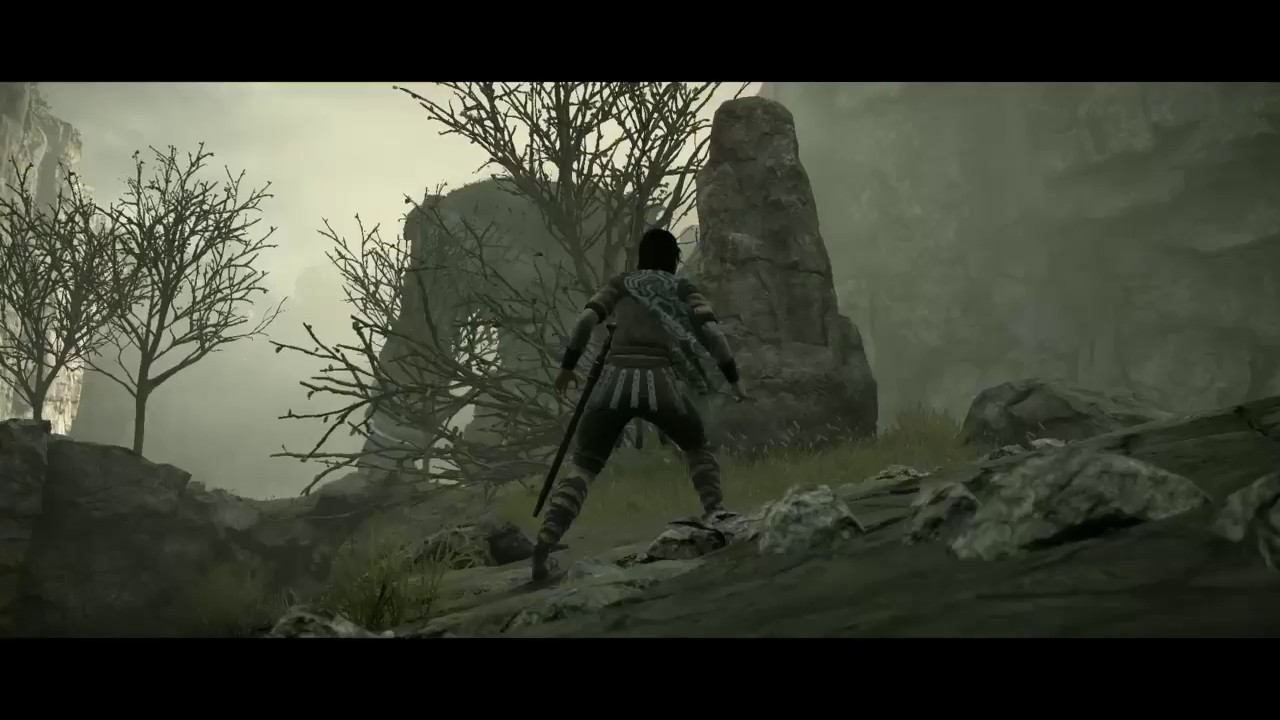 Remake de Shadow of Colossus rodará a 60 fps no PS4 Pro, mas apenas em Full  HD - Meio Bit
